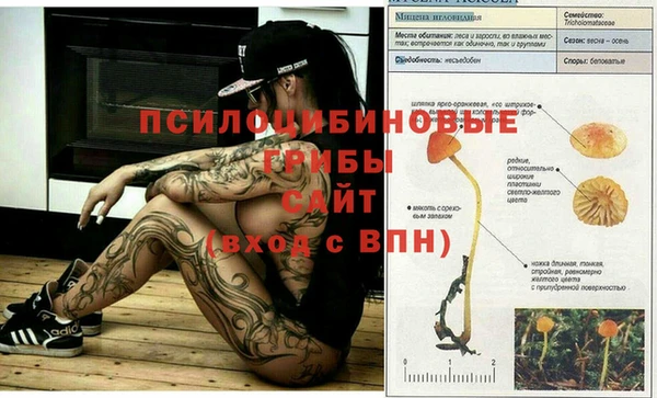 прущая мука Покров