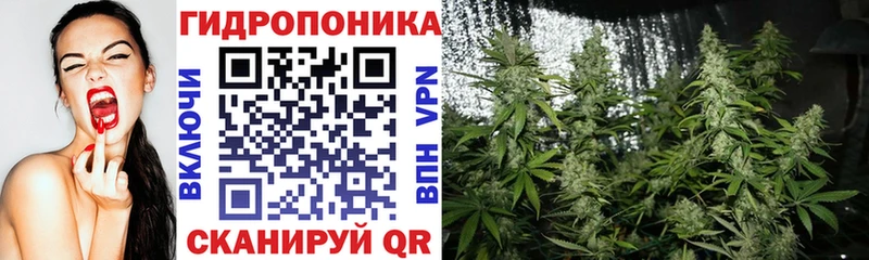 купить  сайты  Полесск  Марихуана план 